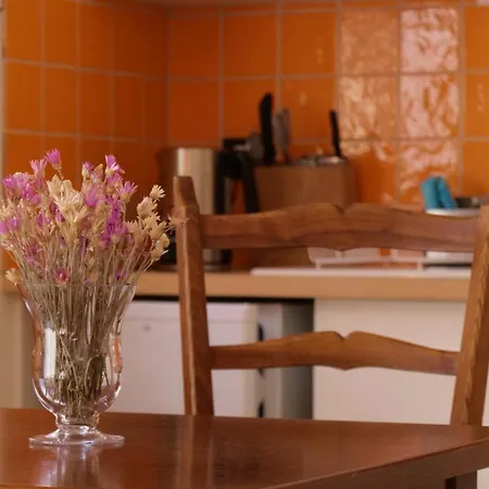 Les Lilas 2/4 Personnes Holiday home Bassurels